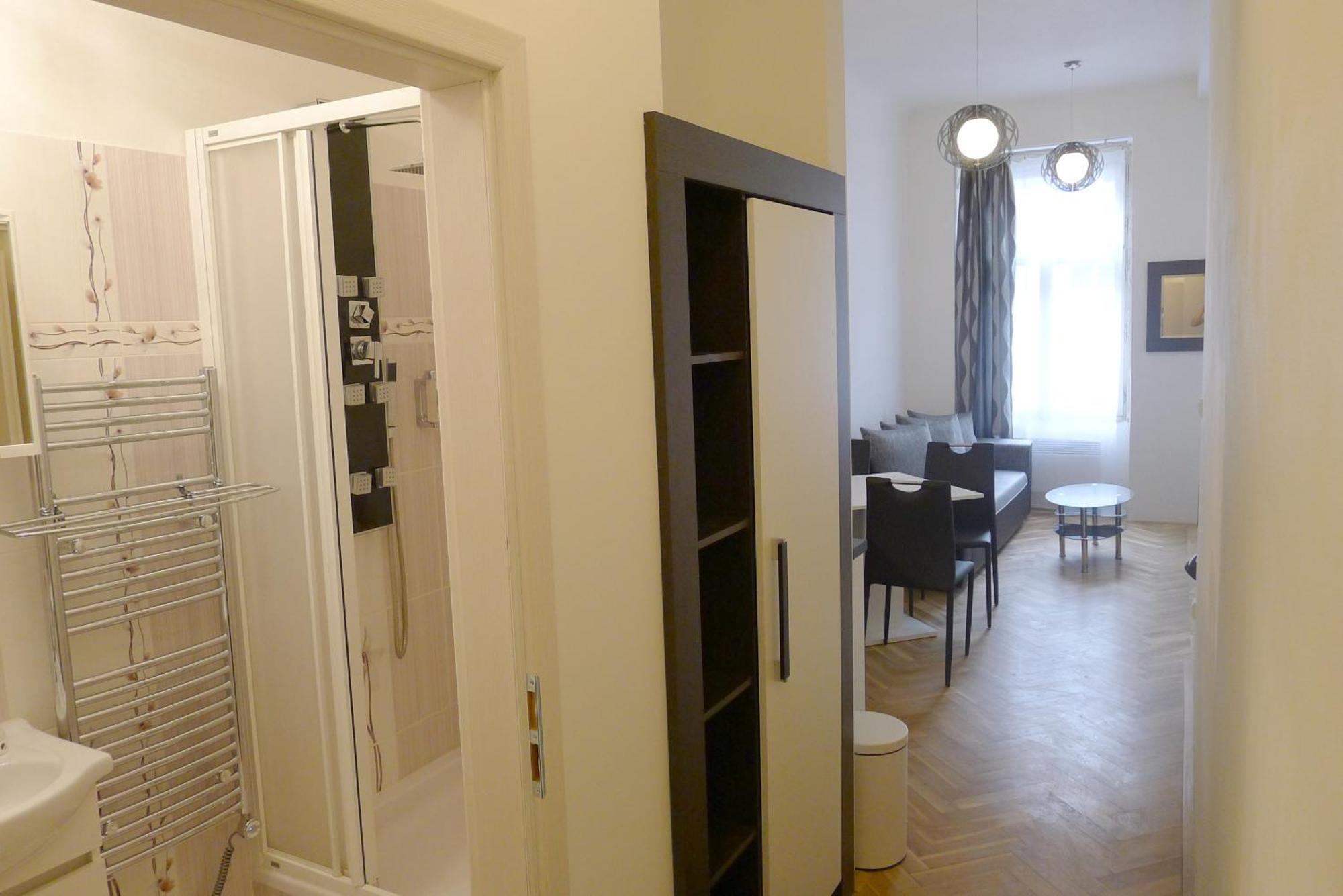 Black & White Apartment Prague By Wenceslas Square And Muzeum Luaran gambar