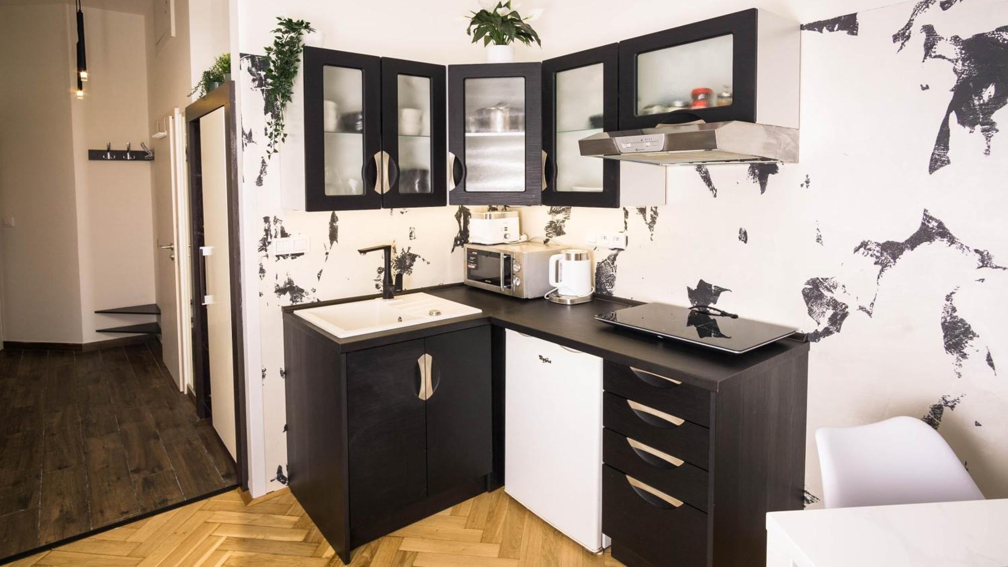 Black & White Apartment Prague By Wenceslas Square And Muzeum Luaran gambar
